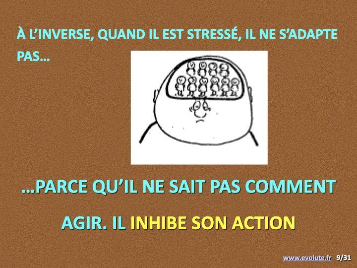 Le stress.009